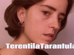 TerentilaTarantula