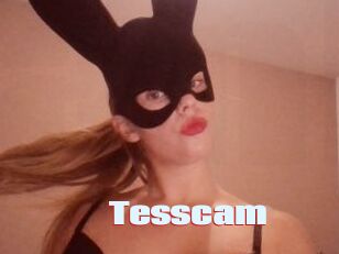 Tesscam