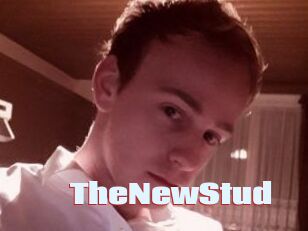 TheNewStud