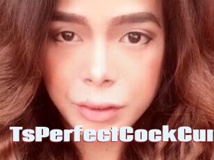 TsPerfectCockCum