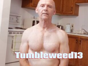 Tumbleweed13