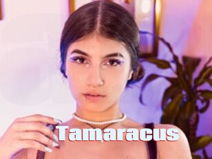 Tamaracus