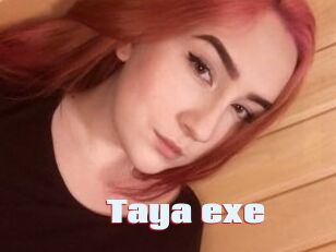 Taya_exe