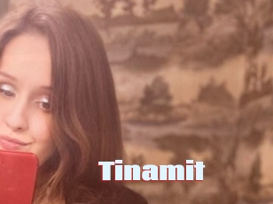 Tinamit