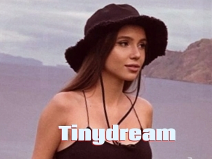 Tinydream
