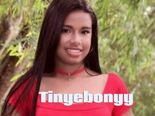 Tinyebonyy