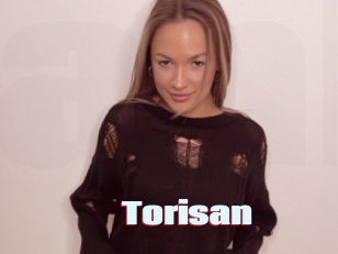 Torisan
