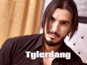tylerdang Anal Open