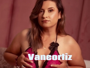 Vaneortiz