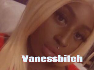 Vanessbitch