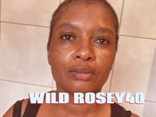 WILD_ROSEY40