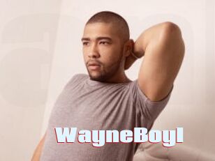 WayneBoyI