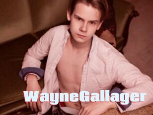 WayneGallager