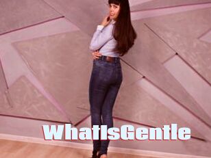 WhatIsGentle
