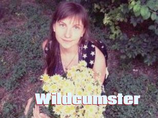 Wildcumster