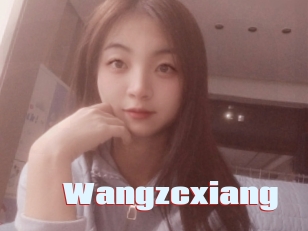 Wangzcxiang