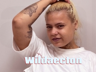 Wildaecton