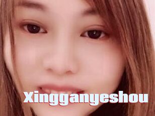 Xingganyeshou