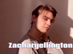 zacharyellington Anal Open